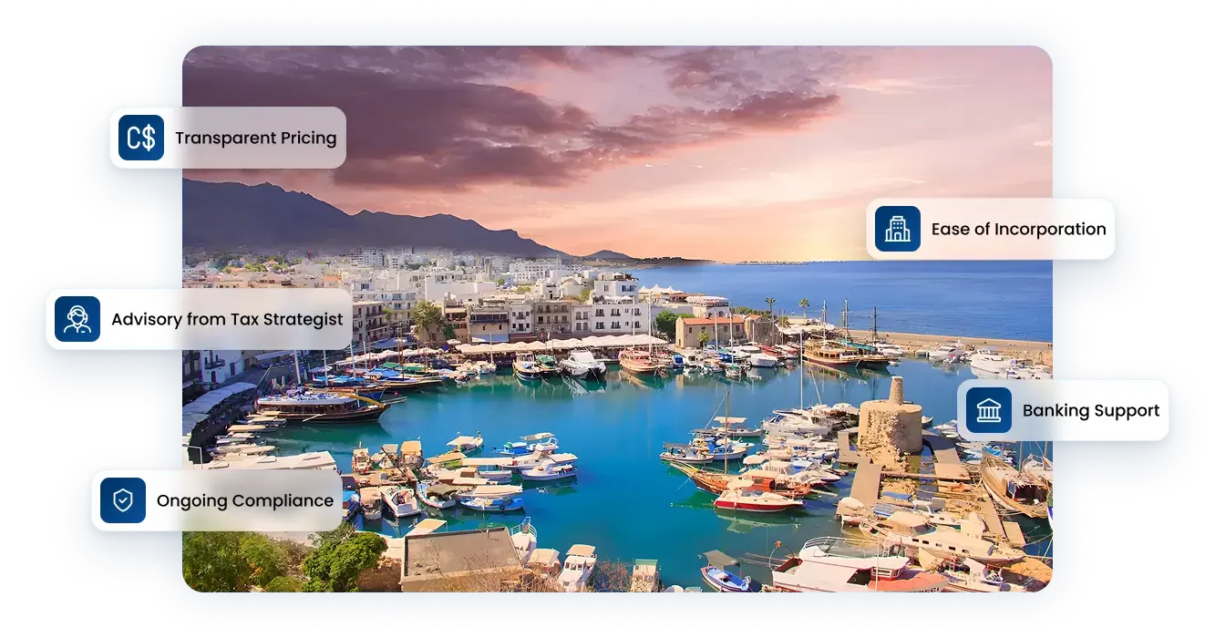 Launch Your Cyprus Holding Company