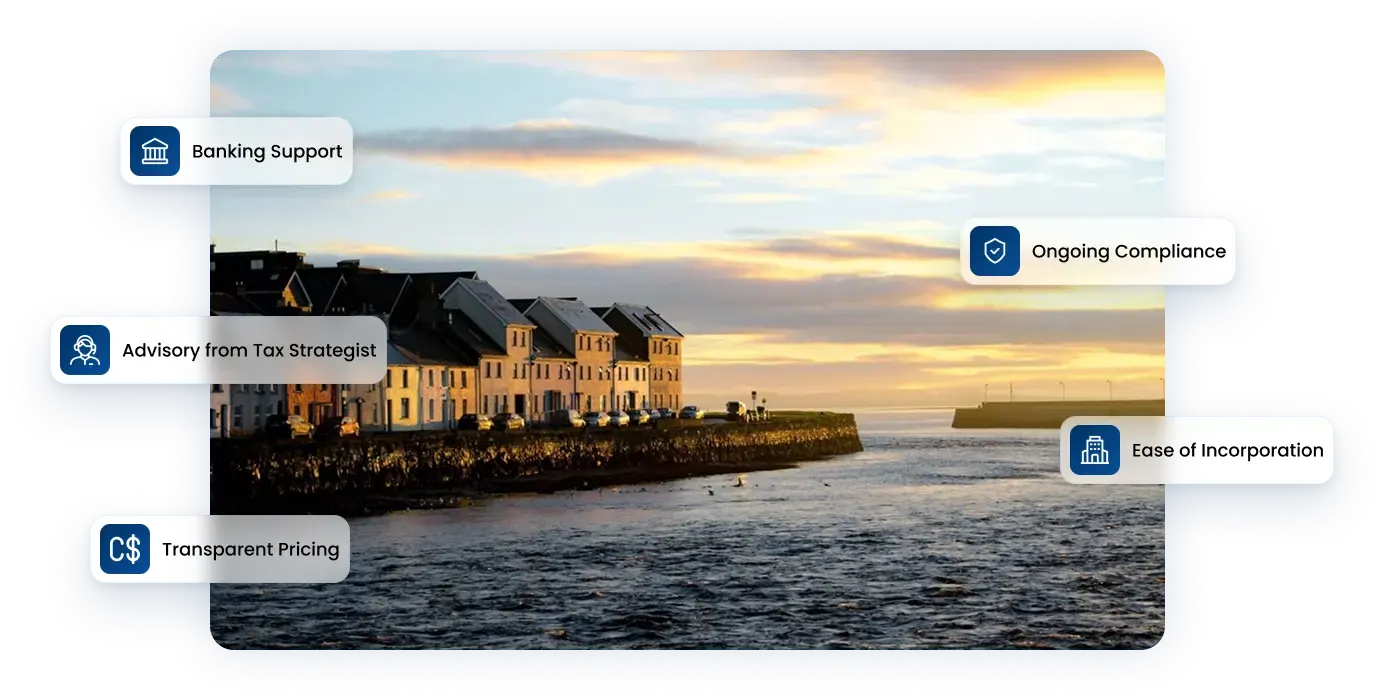 Launch Your Ireland Holding Company