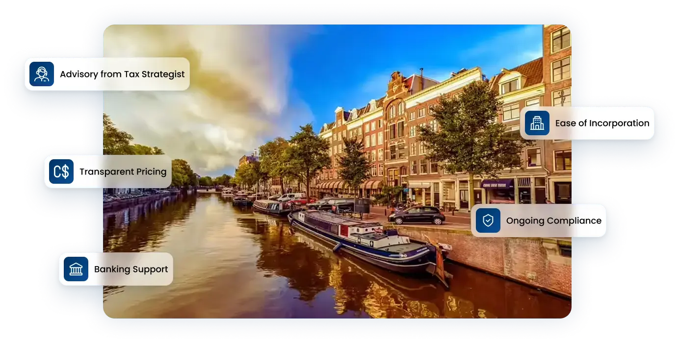 Launch Your Netherlands Holding Company