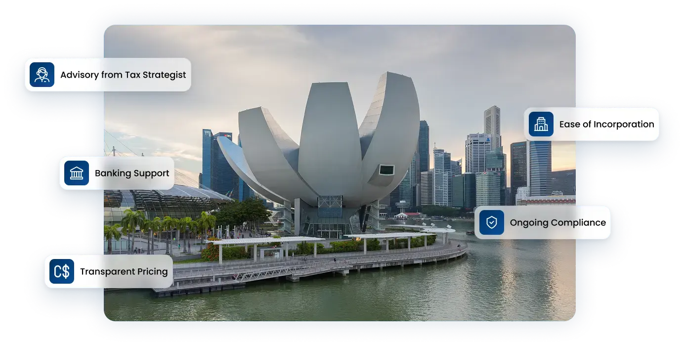 Launch Your Singapore Holding Company