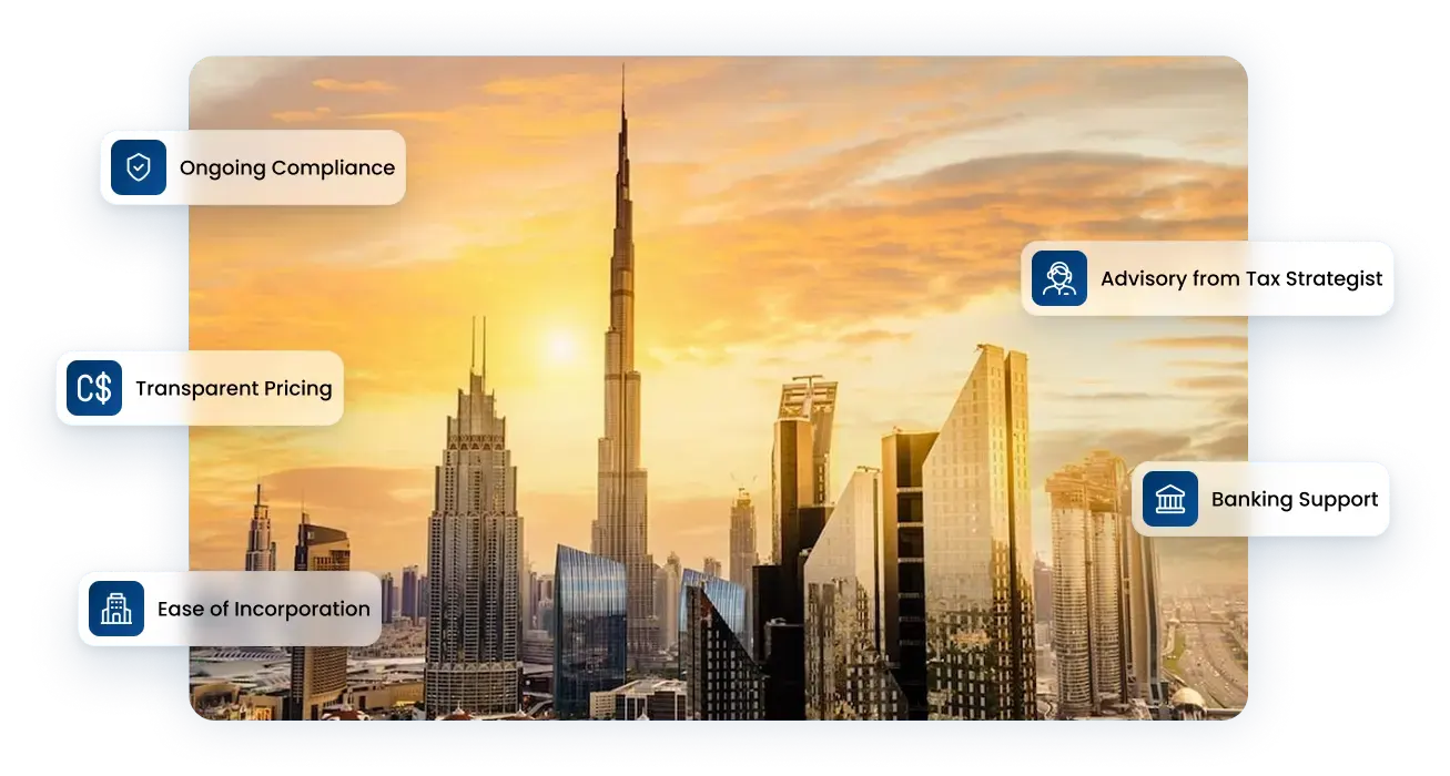 Launch Your UAE Holding Company