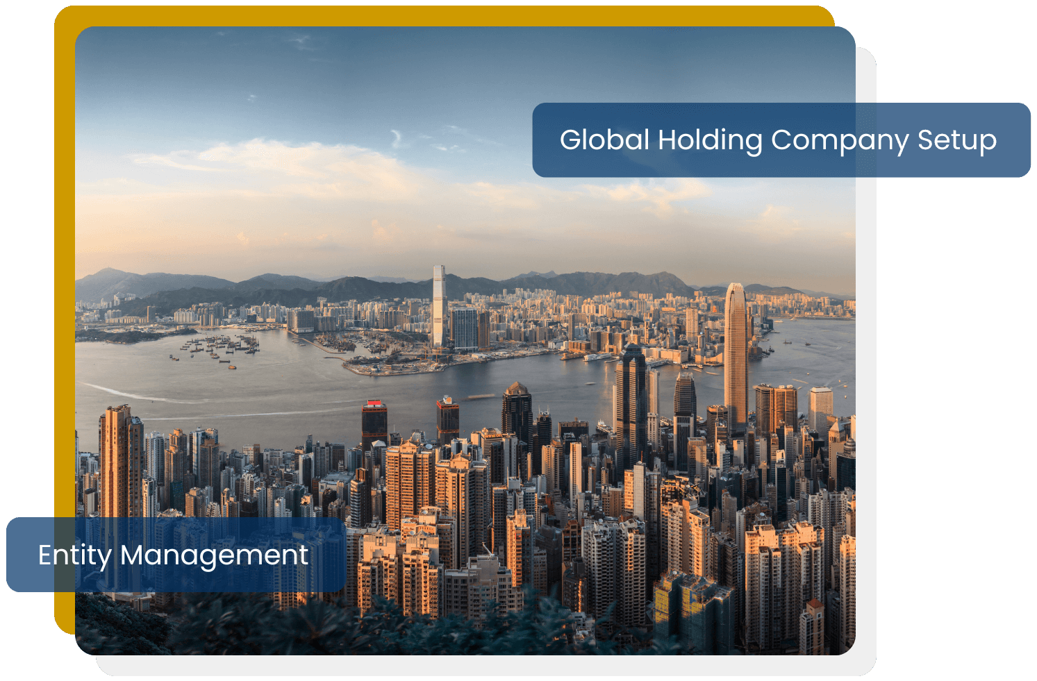 Set optimal prices and enhance your profit margin