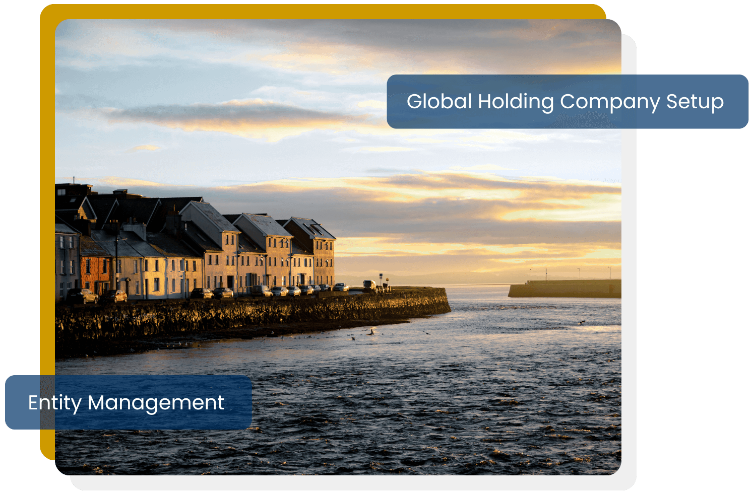 Set optimal prices and enhance your profit margin