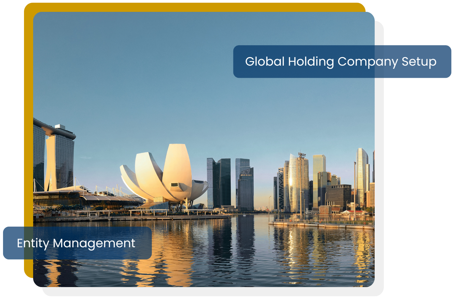 Set optimal prices and enhance your profit margin