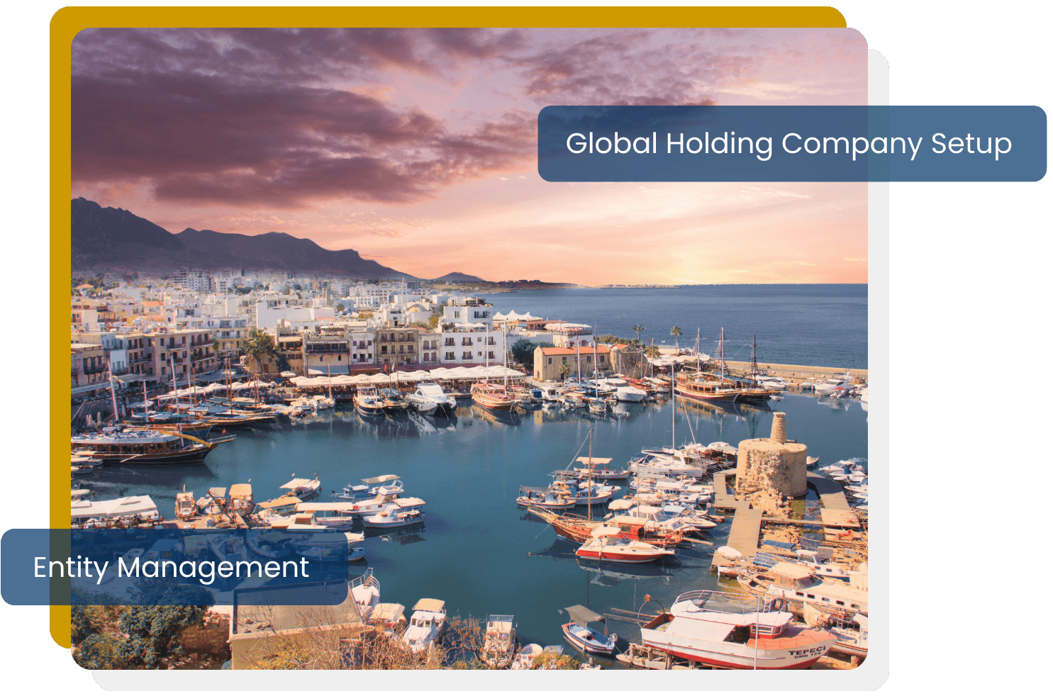 Set optimal prices and enhance your profit margin